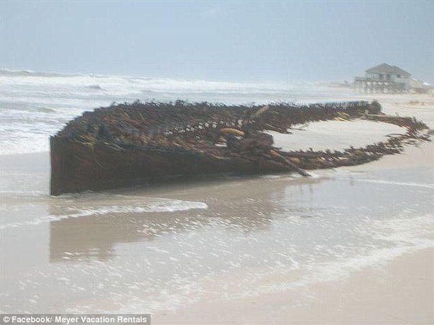 Hurricane Uncovers Civil War Era Ship on Gulf Coast