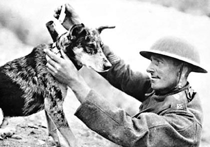 The Dogs of War — A Short History of Canines in Combat