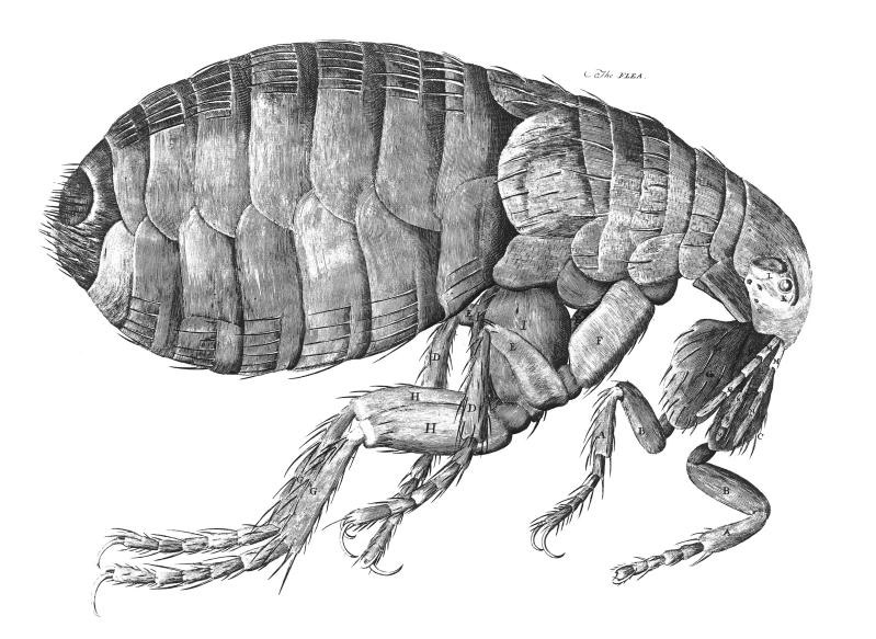 We Have Met the Enemy And They Are Small – A Brief History of Bug Warfare