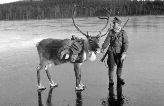 Dashing Through the Snow – The Unbelievable Reindeer Corps of World War Two