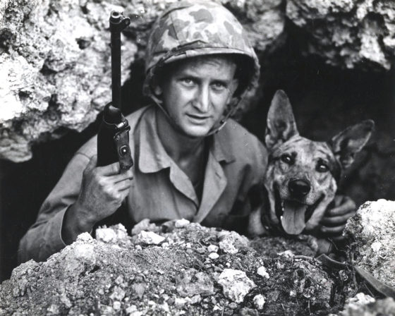 Animals at War – Check Out These Amazing Tales of Four-Legged Heroes from Military History