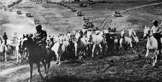Operation Cowboy – How American GIs & German Soldiers Joined Forces to Save the Legendary Lipizzaner Horses in the Final Hours of WW2