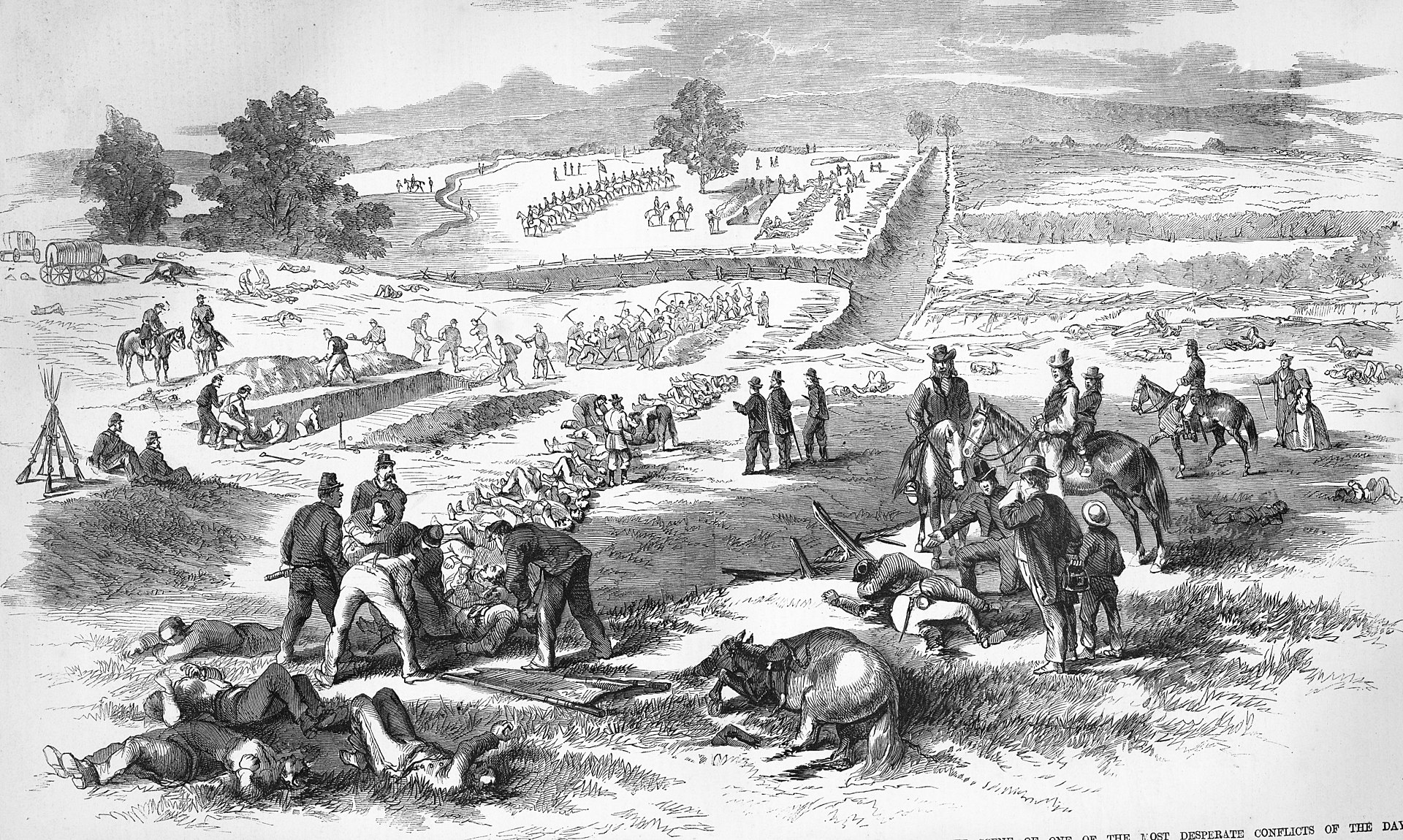 The Cornfield – Inside The Action At Antietam’s Bloody Turning Point ...